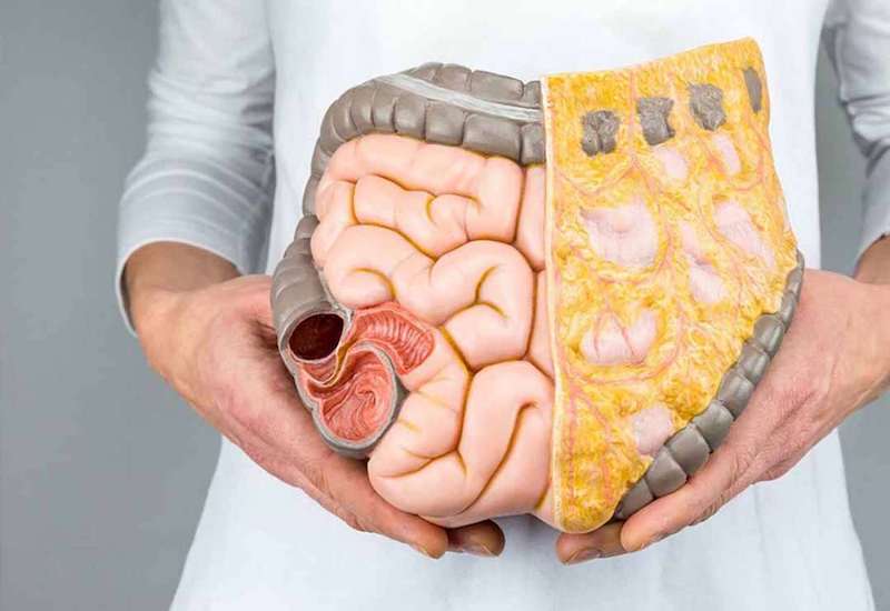 Men tiêu hóa là một trợ thủ đắc lực giúp cho quá trình tiêu hóa của con người được diễn ra trơn tru hơn